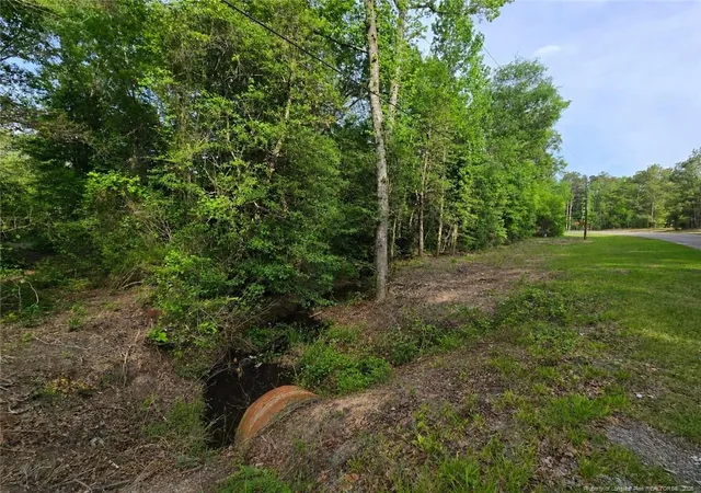 1st image of Lot 45 47 Cabins Creek Rd, Vass, NC 28394 | MLS# 766499