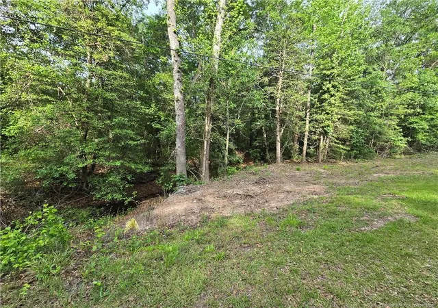2nd image of Lot 45 47 Cabins Creek Rd, Vass, NC 28394 | MLS# 766499