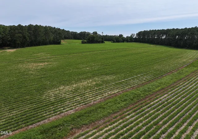 Photo 3 of Sale Pending at Lot 3 Claude Lewis Rd, Middlesex, NC 27557 | MLS# 10182173 | Listing updated on 2026-08-18