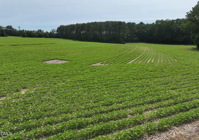 Photo 4 of Sale Pending at Lot 3 Claude Lewis Rd, Middlesex, NC 27557 | MLS# 10182173 | Listing updated on 2026-08-18