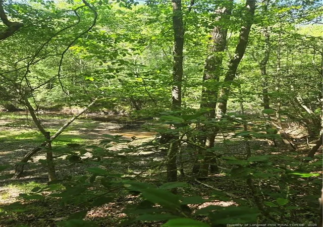 Photo 2 of Land for sale at 234 Circle Dr, Vass, NC 28394 | MLS# 766505 | Listing updated on 2026-07-23