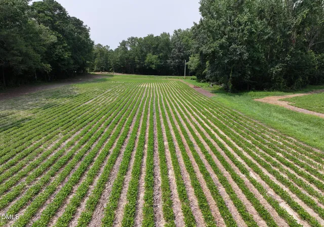 Photo 3 of Sale Pending at Lot 4 Claude Lewis Rd, Middlesex, NC 27557 | MLS# 10182172 | Listing updated on 2026-08-18