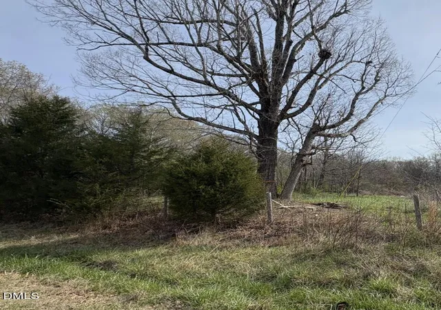 Photo 2 of Sale Pending at 0 Winfred Brady Rd, Bennett, NC 27208 | MLS# 10184470 | Listing updated on 2026-08-05