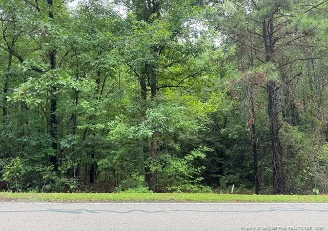 2nd image of 0 Carolina Way, Sanford, NC 27332 | MLS# 766409