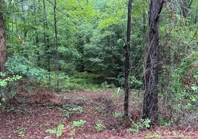 3rd image of 0 Carolina Way, Sanford, NC 27332 | MLS# 766409