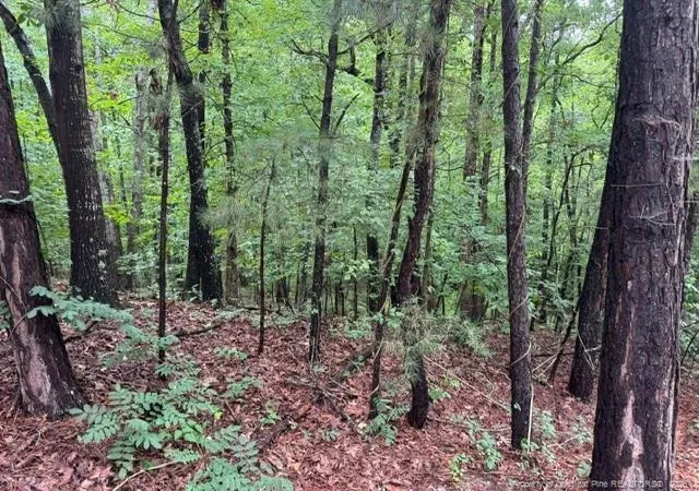 4th image of 0 Carolina Way, Sanford, NC 27332 | MLS# 766409