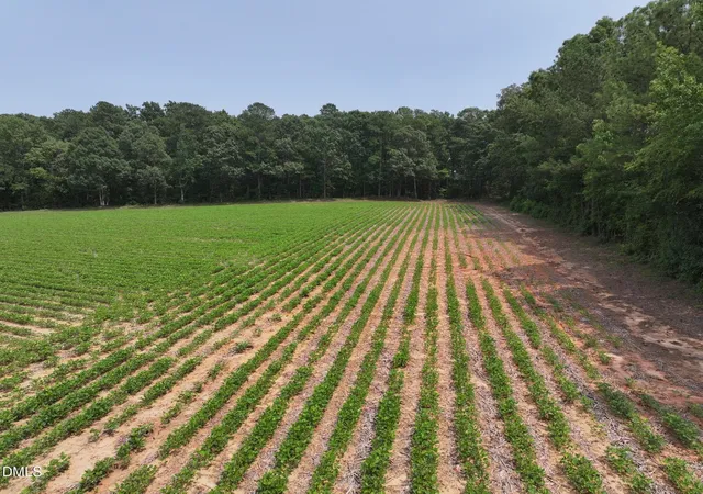Photo 4 of Sale Pending at Lot 5 Claude Lewis Rd, Middlesex, NC 27557 | MLS# 10182170 | Listing updated on 2026-08-18