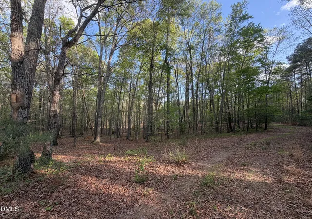 3rd image of 0 Nc 42, Holly Springs, NC 27540 | MLS# 10182071