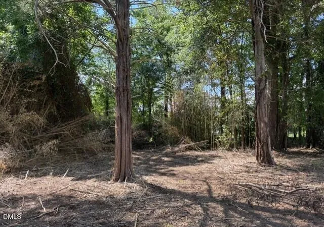 Photo 4 of Land for sale at 211 Colonial Ave, Goldston, NC 27252 | MLS# 10182912 | Listing updated on 2026-08-17
