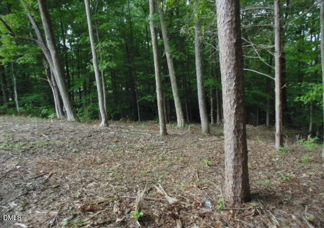 22nd image of 0 Kerr Lake Rd, Henderson, NC 27537 | MLS# 10182276