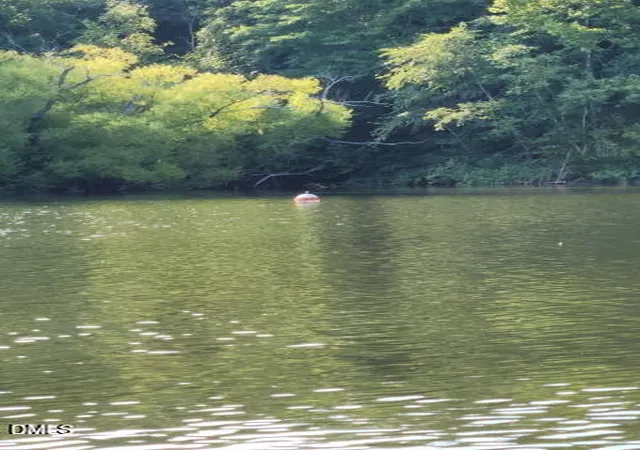 2nd image of 0 Kerr Lake Rd, Henderson, NC 27537 | MLS# 10182276