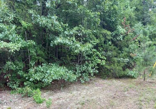 2nd image of 0 Coe St, Timberlake, NC 27583 | MLS# 10184057