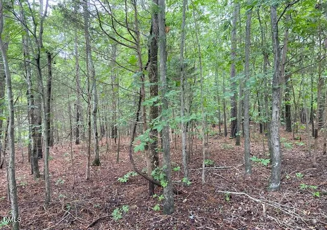 3rd image of 0 Coe St, Timberlake, NC 27583 | MLS# 10184057