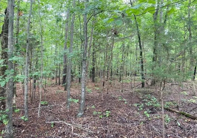 4th image of 0 Coe St, Timberlake, NC 27583 | MLS# 10184057
