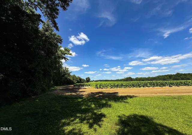2nd image of 0 Old Stantonsburg Rd, Wilson, NC 27893 | MLS# 10183369