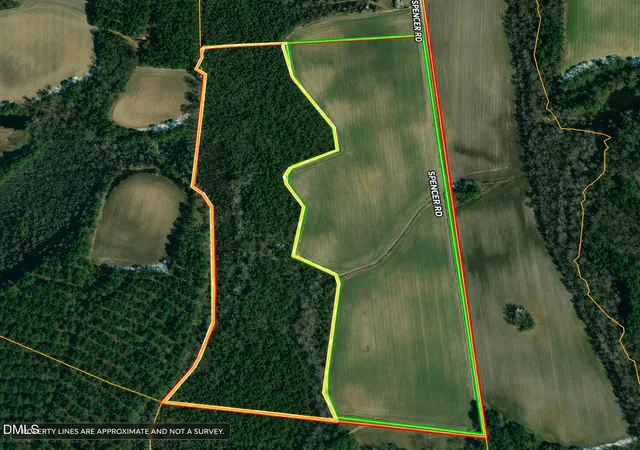 51st image of 0 Old Stantonsburg Rd, Wilson, NC 27893 | MLS# 10183369