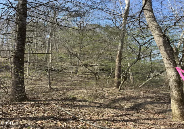 Photo 1 of Land for sale at 00 Seven Island Rd, Danbury, NC 27016 | MLS# 10188757 | Listing updated on 2026-09-09