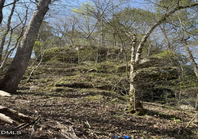 Photo 2 of Land for sale at 00 Seven Island Rd, Danbury, NC 27016 | MLS# 10188757 | Listing updated on 2026-09-09