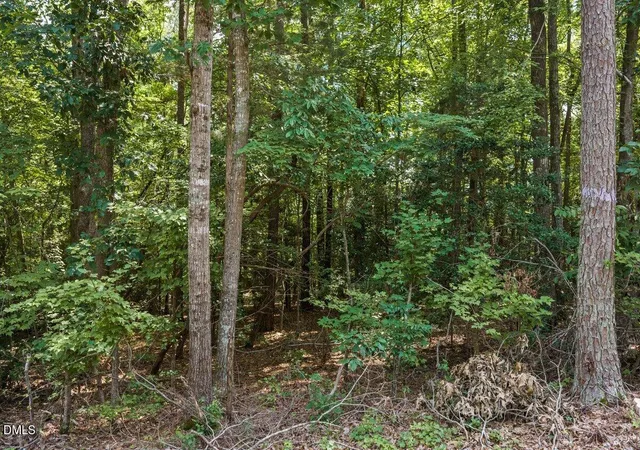 Photo 4 of Land for sale at 00 S Holiday Dr, Macon, NC 27551 | MLS# 10182994 | Listing updated on 2026-09-04