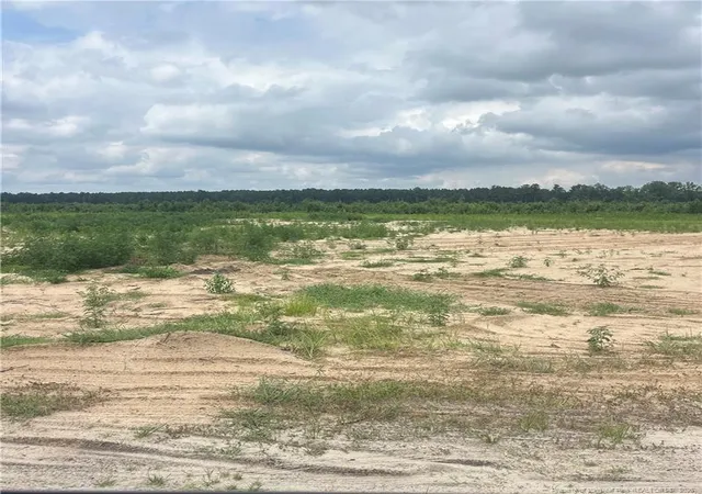 Photo 1 of Land for sale at W Parkton Tobemory Rd, Parkton, NC 28371 | MLS# 766700 | Listing updated on 2026-07-27