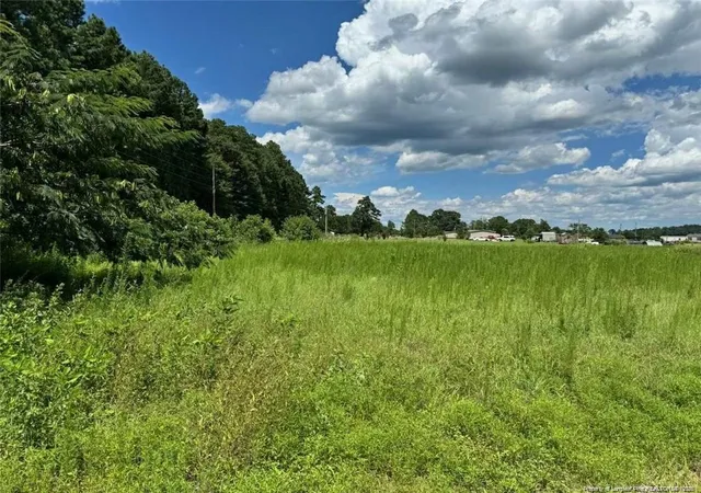 Photo 3 of Land for sale at 2898 Mcgirt Gin Rd, Maxton, NC 28364 | MLS# 766643 | Listing updated on 2026-07-27