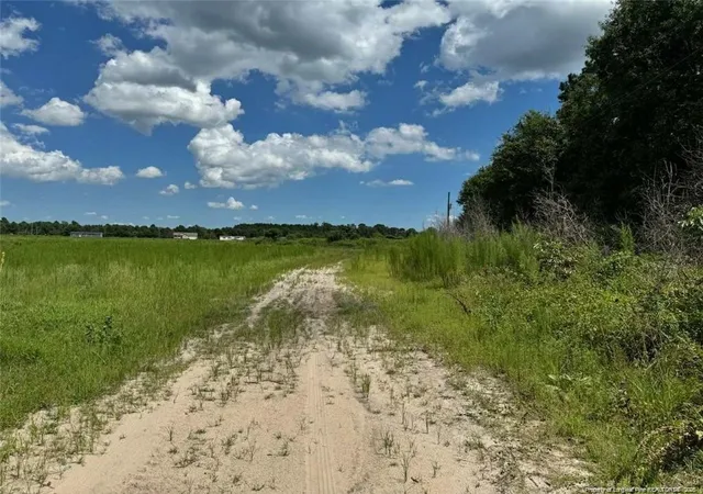 Photo 4 of Land for sale at 2898 Mcgirt Gin Rd, Maxton, NC 28364 | MLS# 766643 | Listing updated on 2026-07-27