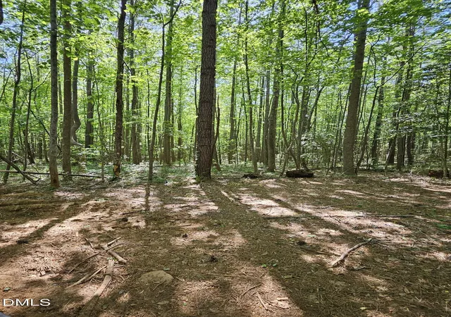 2nd image of 0 Crowder Rd, Castalia, NC 27816 | MLS# 10185888