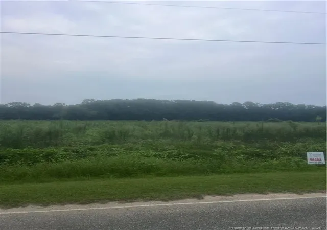 Photo 2 of Land for sale at Deese Rd, Pembroke, NC 28372 | MLS# 766799 | Listing updated on 2026-07-28