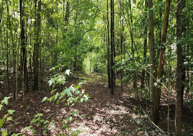 Photo 4 of Land for sale at 4501 Lot 1 Ml Crk Rd, Cedar Grove, NC 27231 | MLS# 10183359 | Listing updated on 2026-08-11