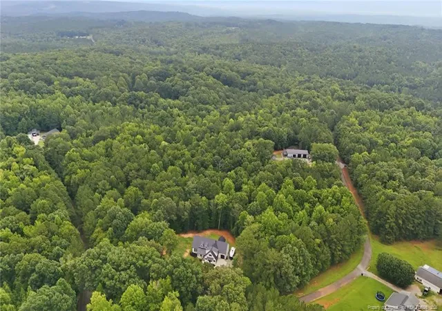 45th image of 61 Erma Thomas Ln, Sanford, NC 27330 | MLS# 766916