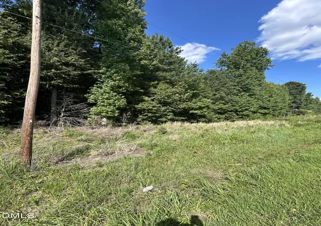 2nd image of 0 W Lebanon Rd, Efland, NC 27243 | MLS# 10183609