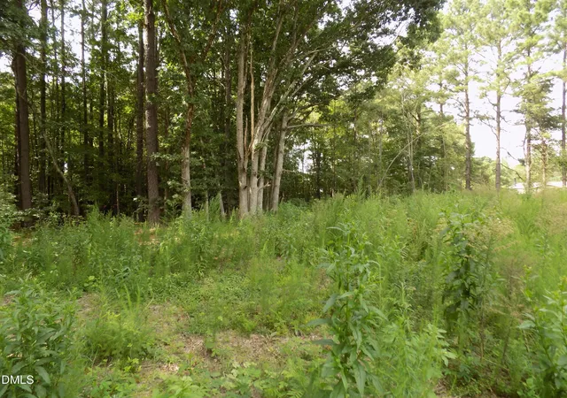 2nd image of 4013 Us 401 N, Louisburg, NC 27549 | MLS# 10183706