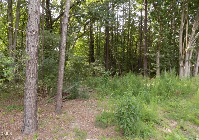 Photo 3 of Land for sale at 4013 Us 401 N, Louisburg, NC 27549 | MLS# 10183706 | Listing updated on 2026-08-24