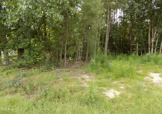 4th image of 4013 Us 401 N, Louisburg, NC 27549 | MLS# 10183706