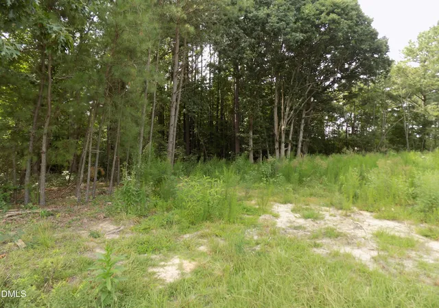 1st image of 4009 Us 401 N, Louisburg, NC 27549 | MLS# 10183722