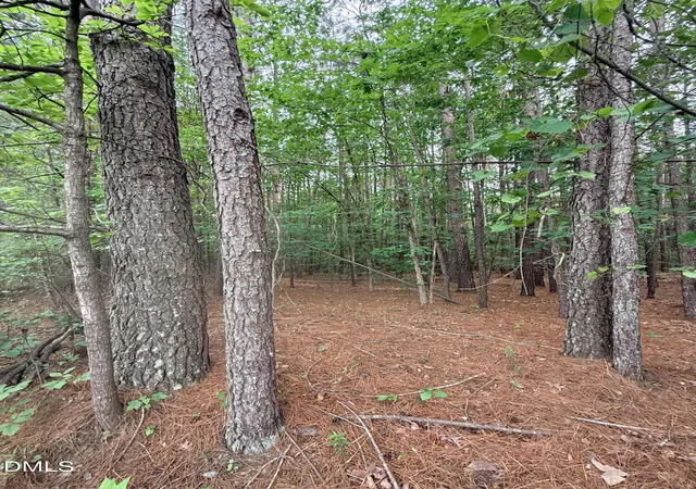 2nd image of 104 Amsterdam Dr, Archer Lodge, NC 27527 | MLS# 10183738