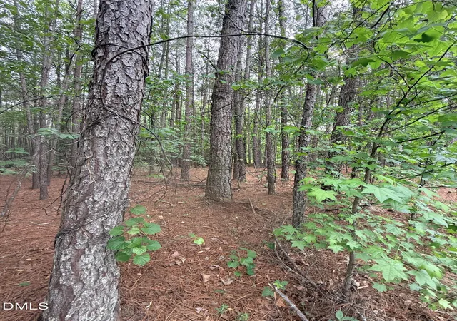 Photo 3 of Sale Pending at 104 Amsterdam Dr, Archer Lodge, NC 27527 | MLS# 10183738 | Listing updated on 2026-08-04