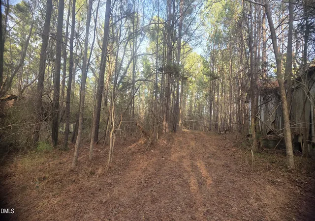2nd image of 00 Hal Moore Ln, Louisburg, NC 27549 | MLS# 10183854