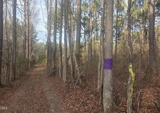 4th image of 00 Hal Moore Ln, Louisburg, NC 27549 | MLS# 10183854