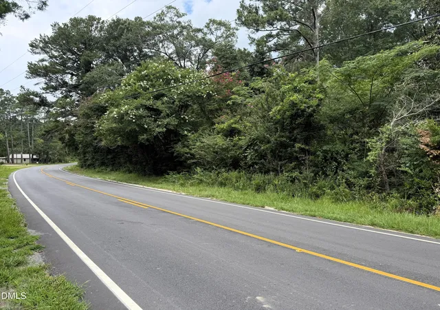 Photo 3 of Land for sale at 1755 Bunnlevel Erwin Rd, Bunnlevel, NC 28323 | MLS# 10184000 | Listing updated on 2026-08-03