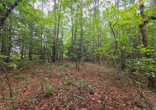 Photo 4 of Sale Pending at West Rd, Cameron, NC 28326 | MLS# 767076 | Listing updated on 2026-08-11
