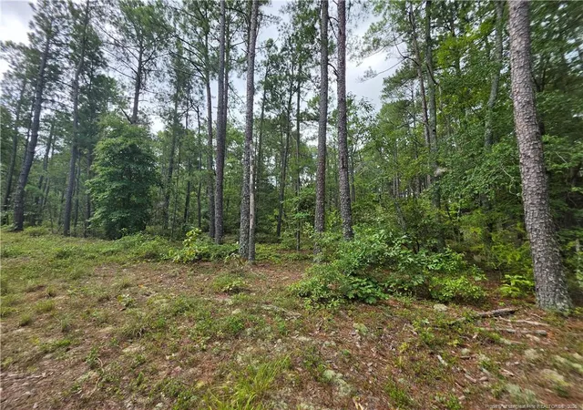 Photo 5 of Sale Pending at West Rd, Cameron, NC 28326 | MLS# 767076 | Listing updated on 2026-08-11