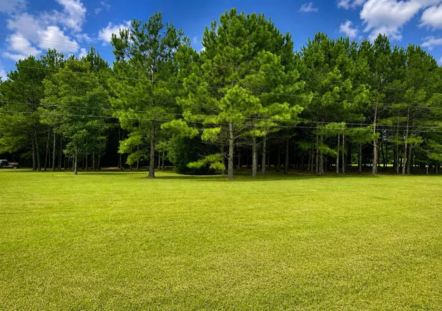 2nd image of 28 Bunn Rd, Kenly, NC 27542 | MLS# 10184102