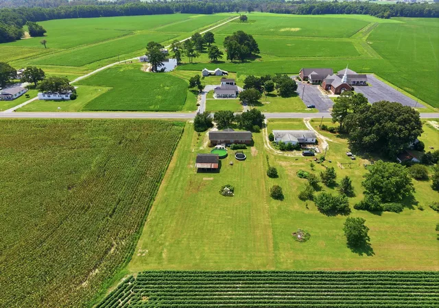 55th image of 1967 Mt Olive Hwy, Newton Grove, NC 28366 | MLS# 10184135