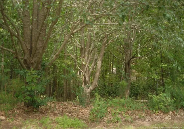3rd image of 265 Fairway Ln, Sanford, NC 27332 | MLS# 767026