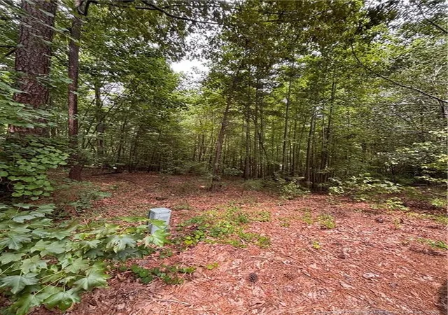 4th image of 265 Fairway Ln, Sanford, NC 27332 | MLS# 767026