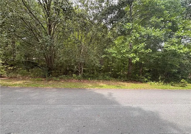 5th image of 265 Fairway Ln, Sanford, NC 27332 | MLS# 767026