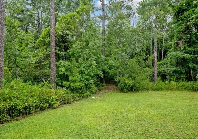 50th image of 290 Quail Holw, Sanford, NC 27332 | MLS# 767027