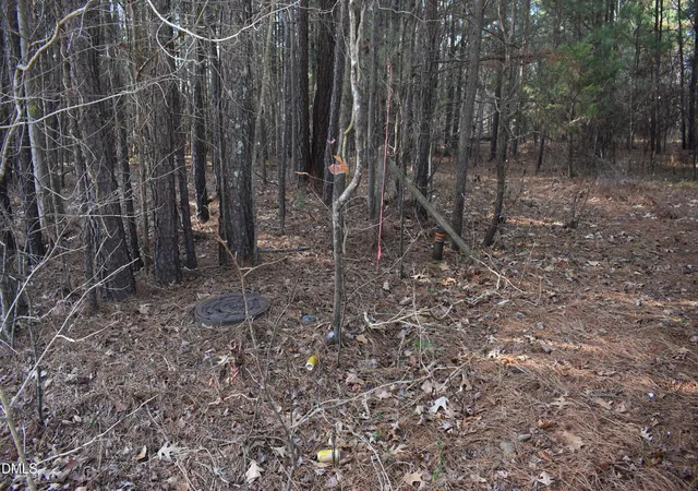 Photo 3 of Land for sale at 806 Carpenter Fletcher Rd, Durham, NC 27713 | MLS# 10184212 | Listing updated on 2026-08-31