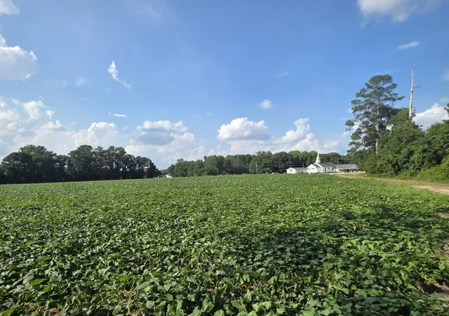 1st image of 0 Eldridge Rd, Newton Grove, NC 28366 | MLS# 10184229